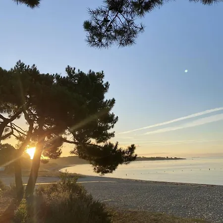 Maison Au Calme, Proche Plage, Wifi, Jardin Clos Quiberon